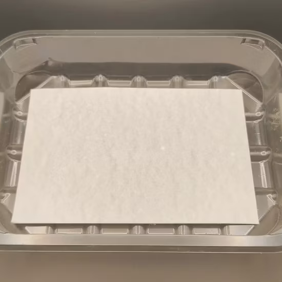 Disposable Absorbent Meat Sea Food Fruit Pad